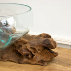 Extra Large Molten Glass Fruit Bowl On Teak Root Stand