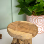 Teak Wood Mushroom Plant Pot Stand