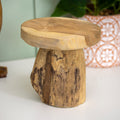Teak Wood Mushroom Plant Pot Stand