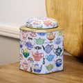 Colour Teapots Corner Cut Dome Storage Caddy