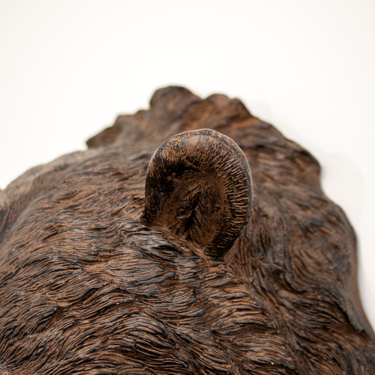Bear Head Wall Sculpture