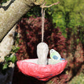 Blue Tit And Red Mushroom Bird Feeder