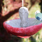 Blue Tit And Red Mushroom Bird Feeder