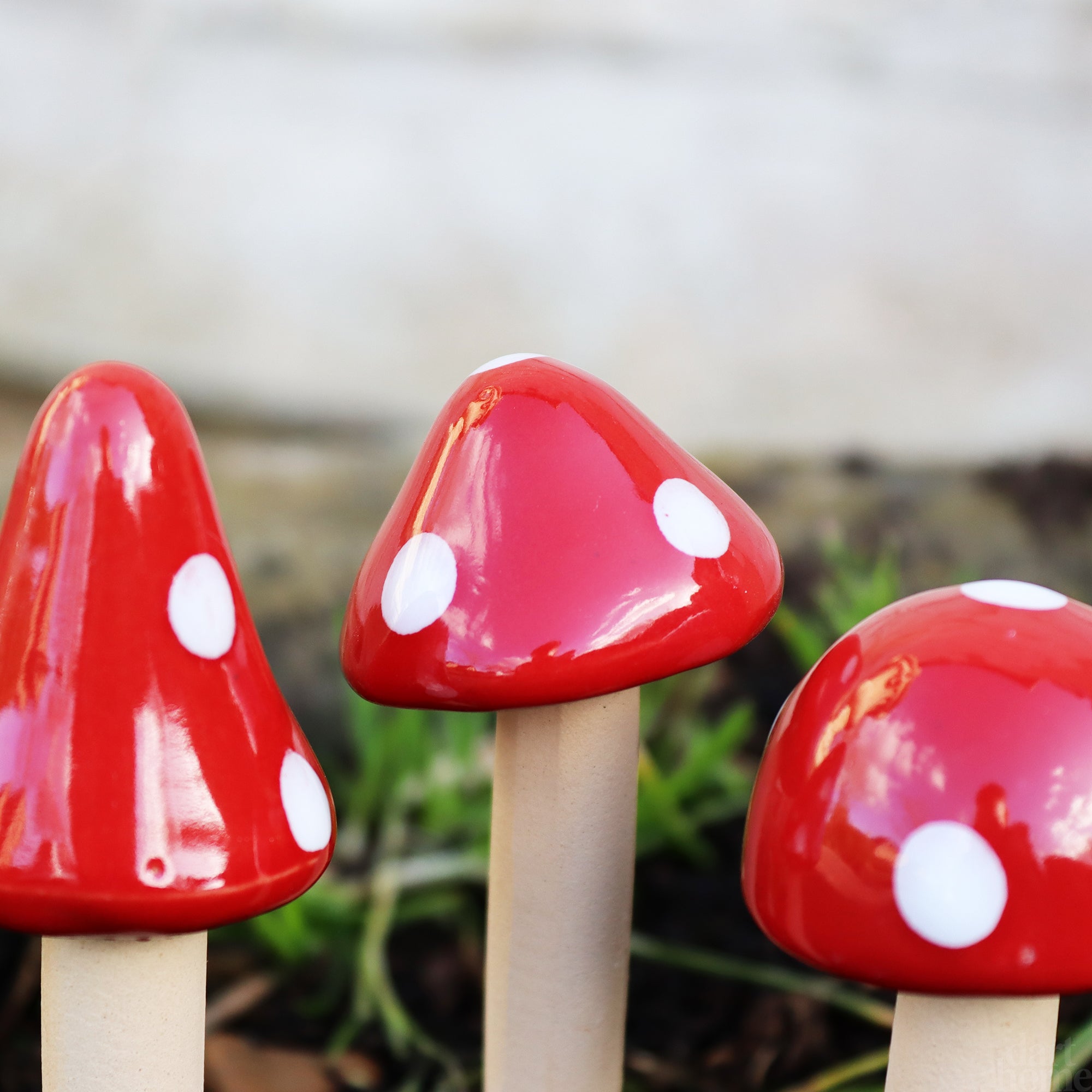 Set Of 12 Mini Red Ceramic Toadstool Stakes