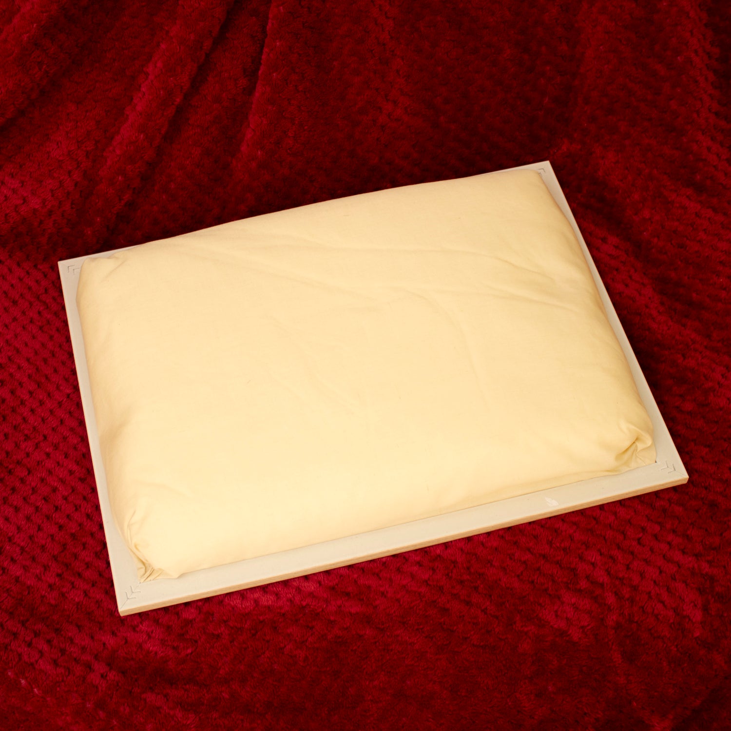 Christmas Robins Cushioned Lap Tray