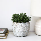 Cream Round Shell Planter