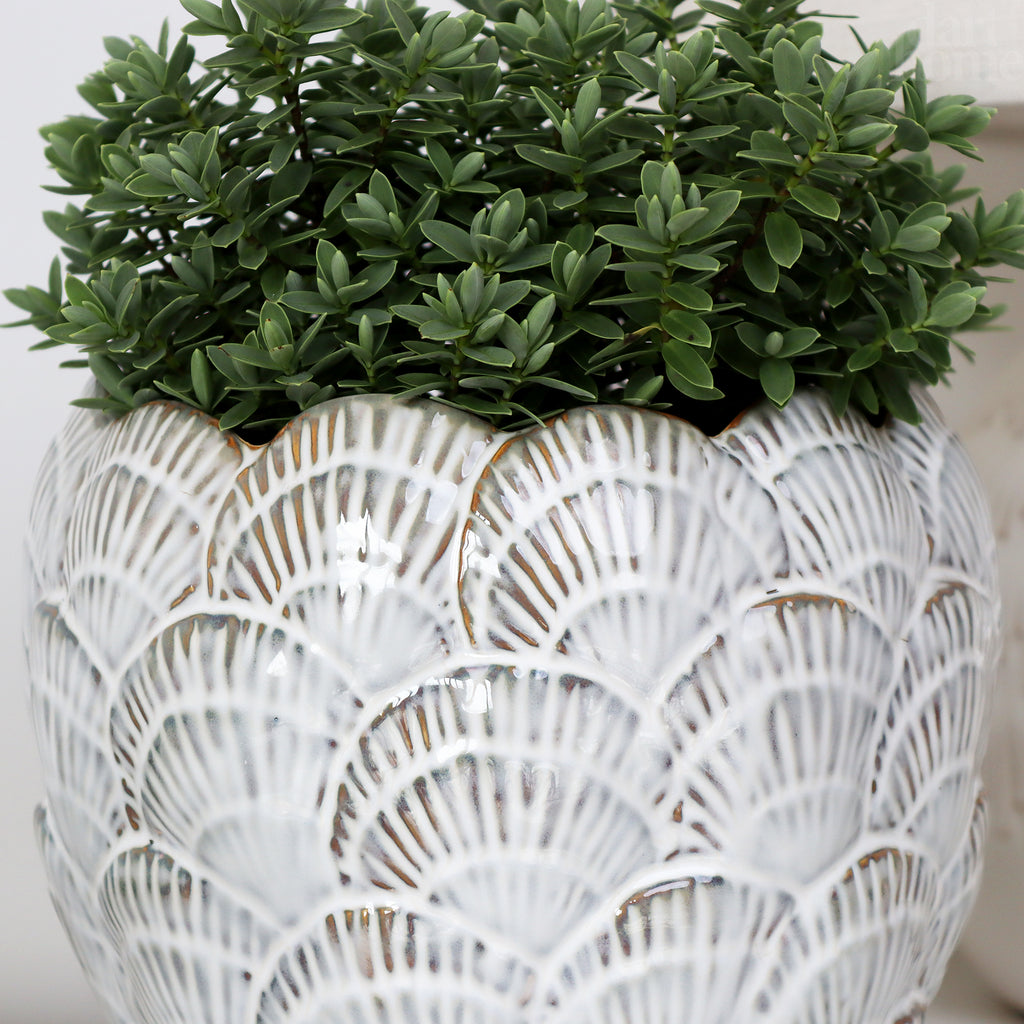 Cream Round Shell Planter