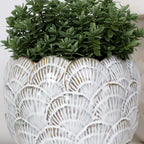 Cream Round Shell Planter