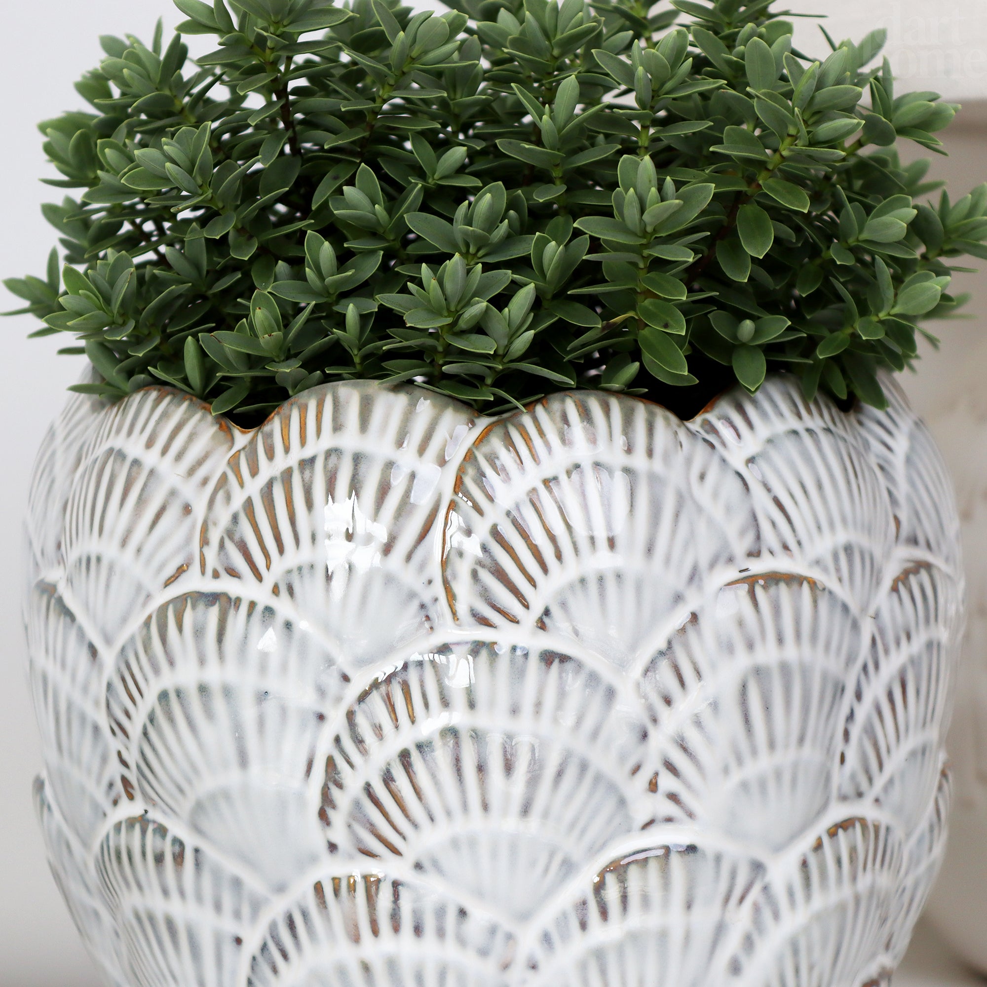 Cream Round Shell Planter