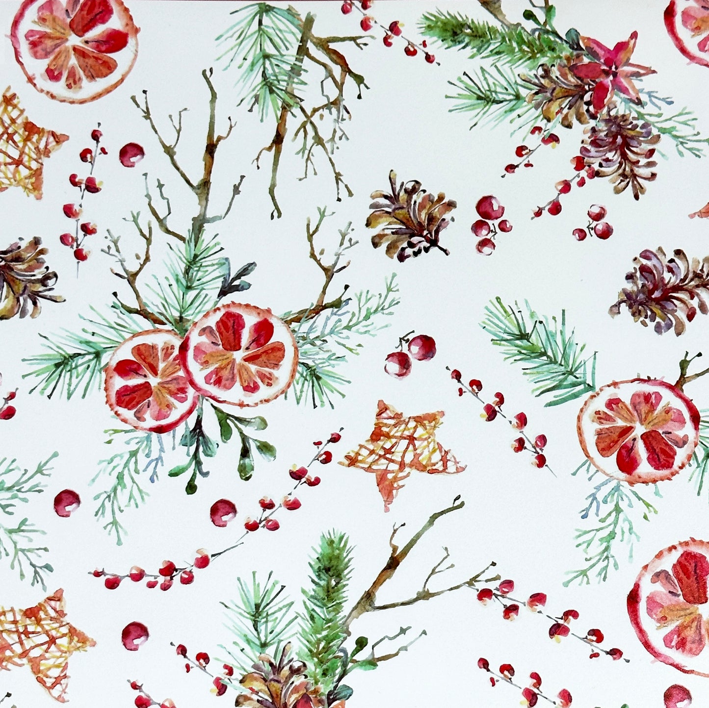 Set Of Christmas Fruit Placemats