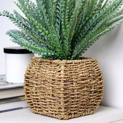 Artificial Fern In Square Seagrass Basket