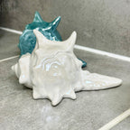 Glossy Blue And White Sea Shells Ornament Set