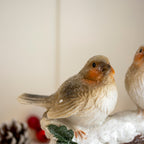 Robins on Snowy Branch Ornament