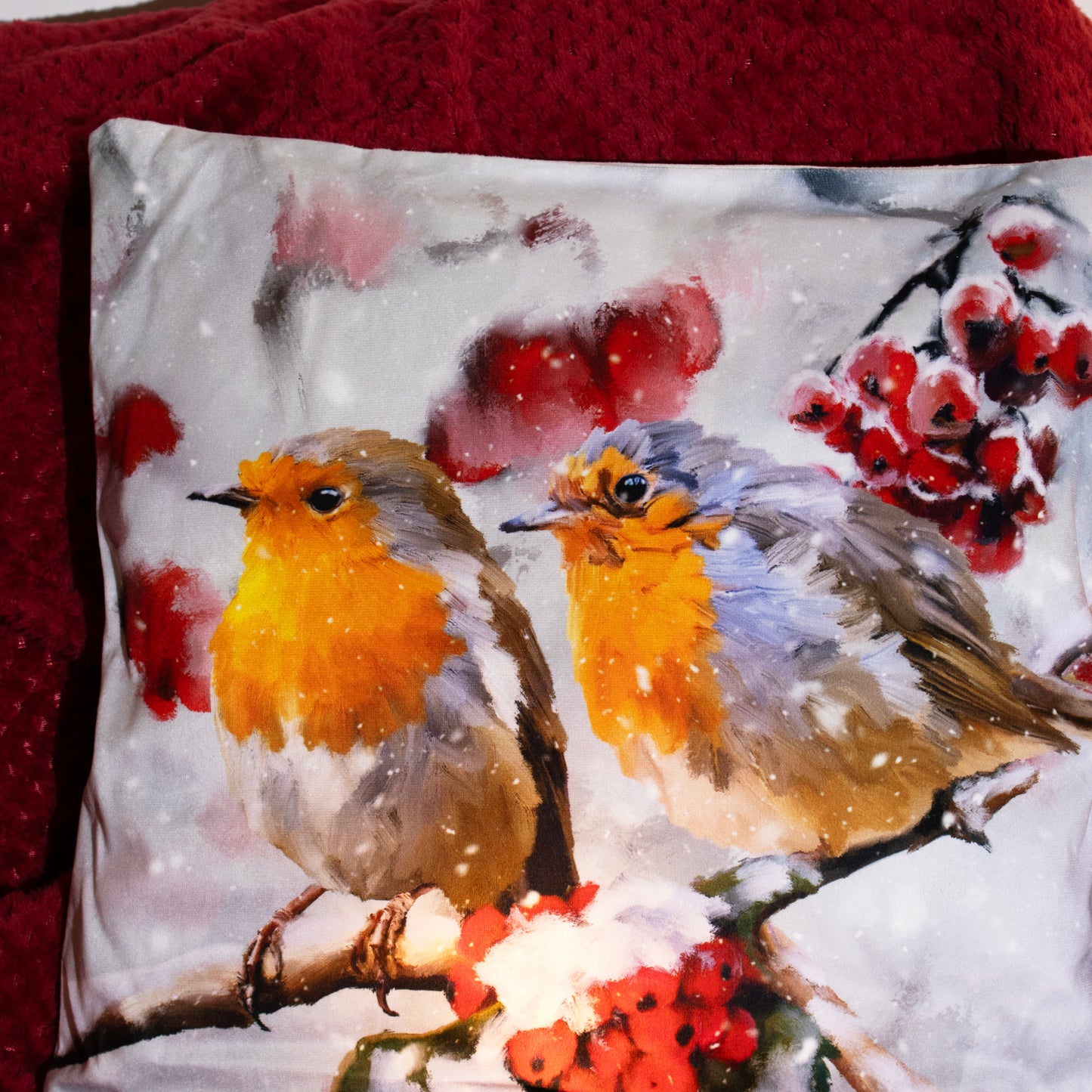 Light Up Snowy Robins Cushion