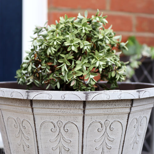Kallos Hexagonal Planter