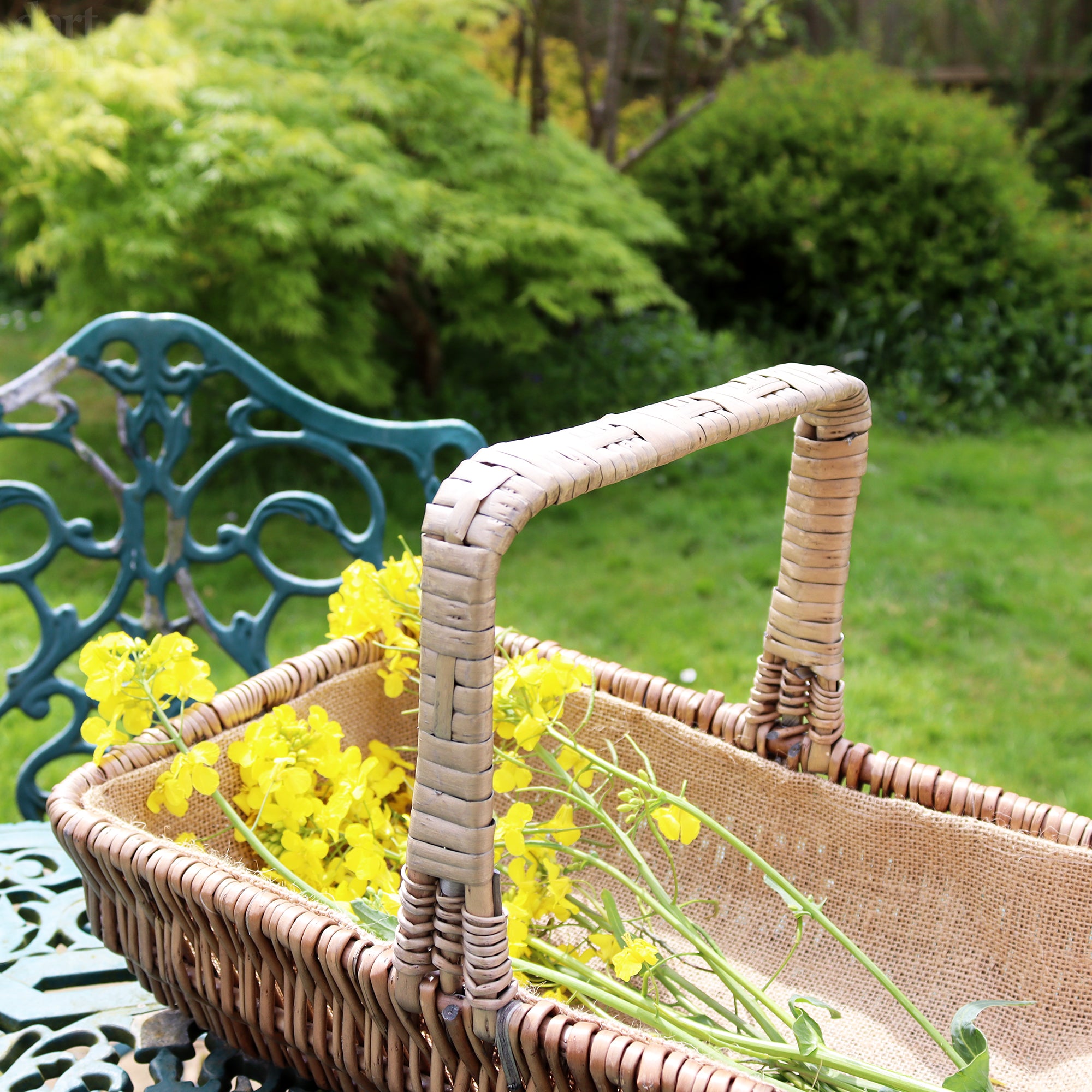 Antique Wash Lined Garden Trug Basket