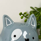 Ceramic Blue Cat Money Box
