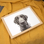 Black Labrador Lap Tray