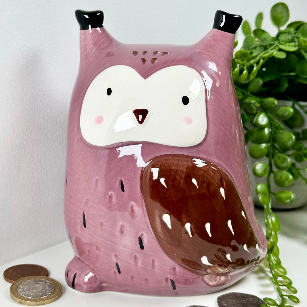 Darthome Ceramic Owl Money Box 12x15x11cm Darthome Limited