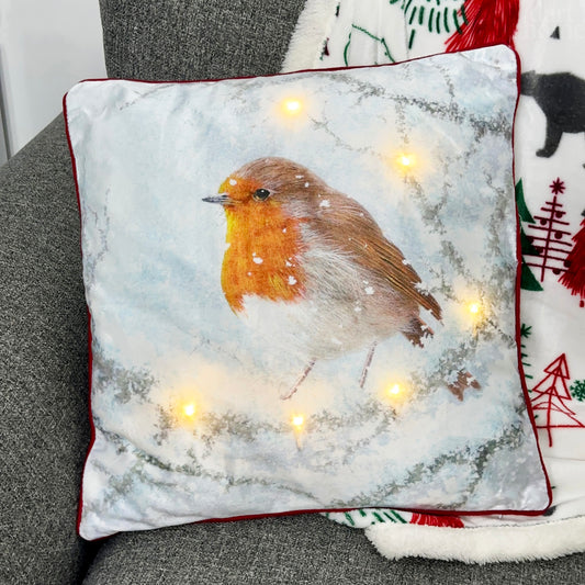 Light Up Winter Robin Cushion