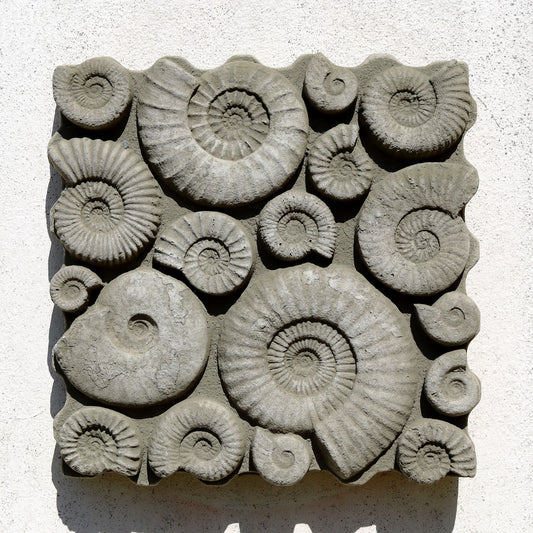 Square Stone Fossil Wall Sculpture