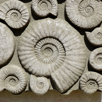 Square Stone Fossil Wall Sculpture