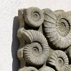 Square Stone Fossil Wall Sculpture