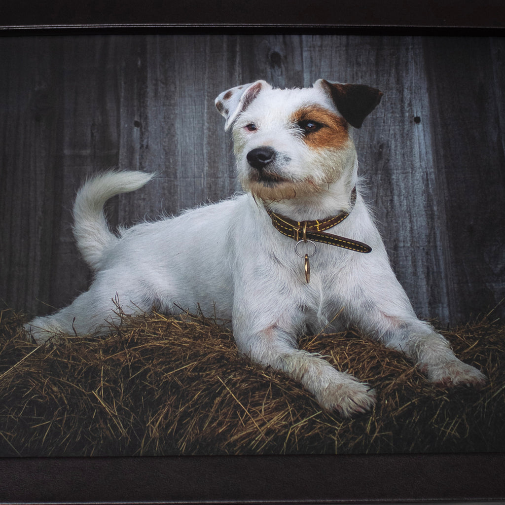 Jack Russell Faux Leather Cushioned Lap Tray