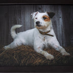 Jack Russell Faux Leather Cushioned Lap Tray