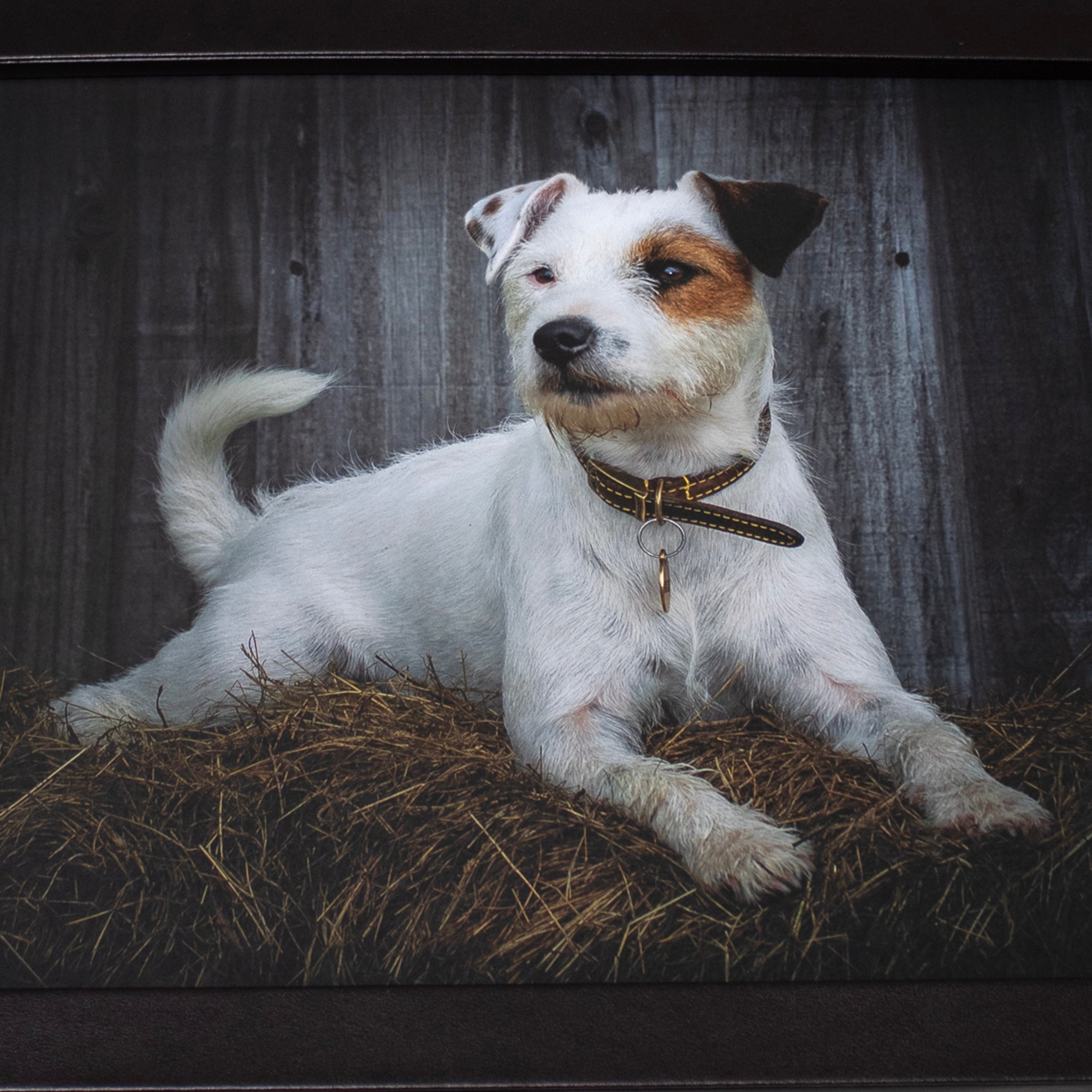 Jack Russell Faux Leather Cushioned Lap Tray