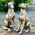 Set Of 2 Gold Regal Greyhound Garden Statues