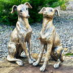 Set Of 2 Gold Regal Greyhound Garden Statues