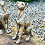 Set Of 2 Gold Regal Greyhound Garden Statues