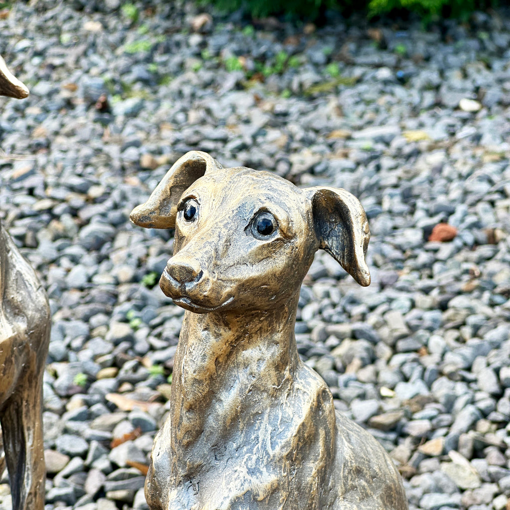 Set Of 2 Gold Regal Greyhound Garden Statues