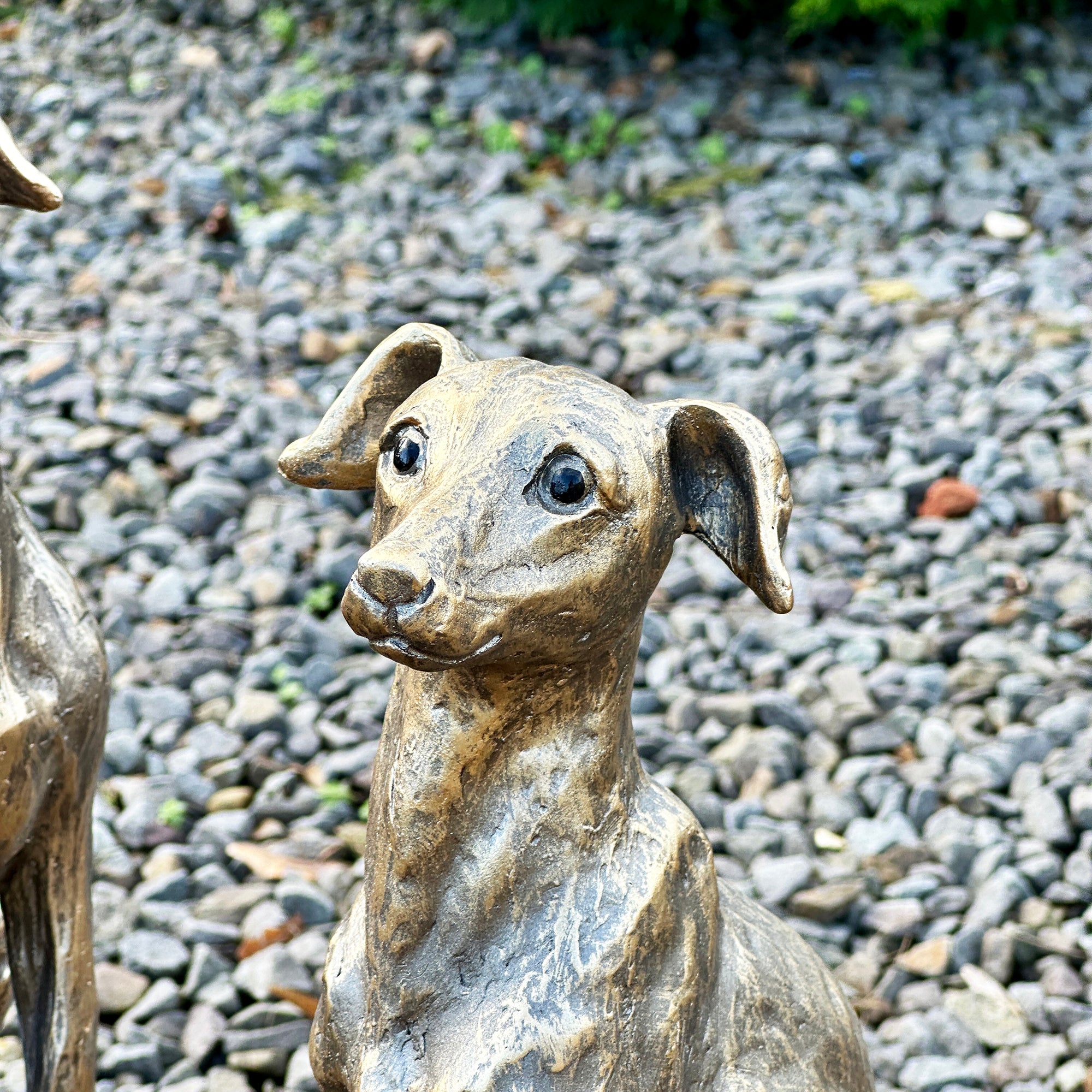 Set Of 2 Gold Regal Greyhound Garden Statues