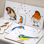 Set Of 4 British Birds Placemats And Coasters