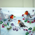 Christmas Robins Glass Worktop Saver