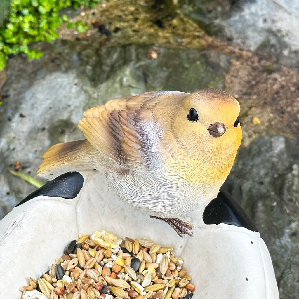 Robin Football Bird Feeder