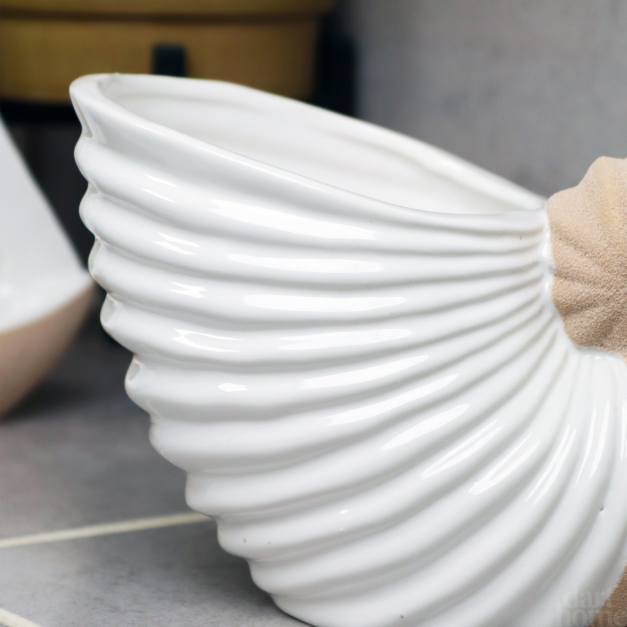 White Ceramic Ammonite Vase