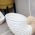 White Ceramic Ammonite Vase