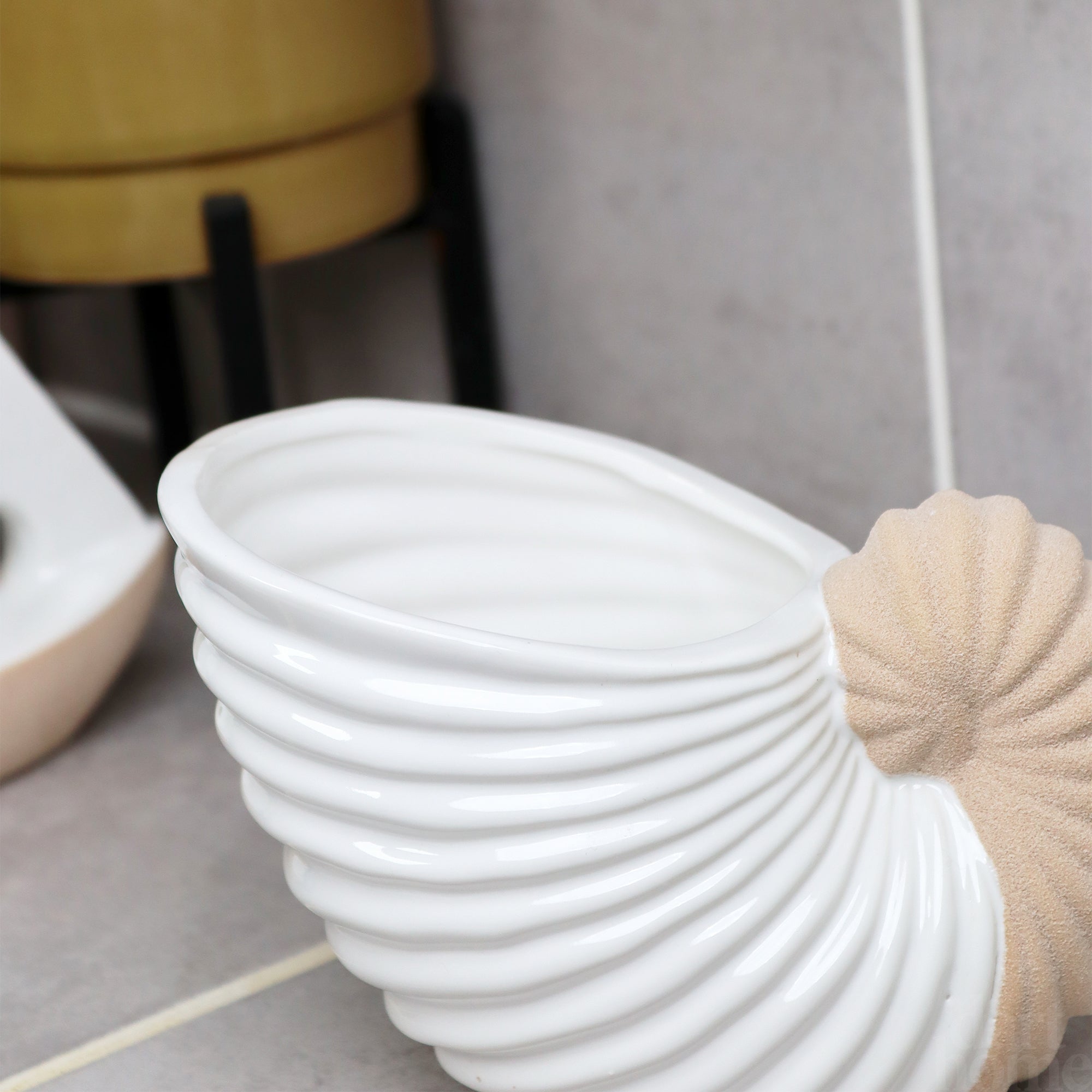 White Ceramic Ammonite Vase