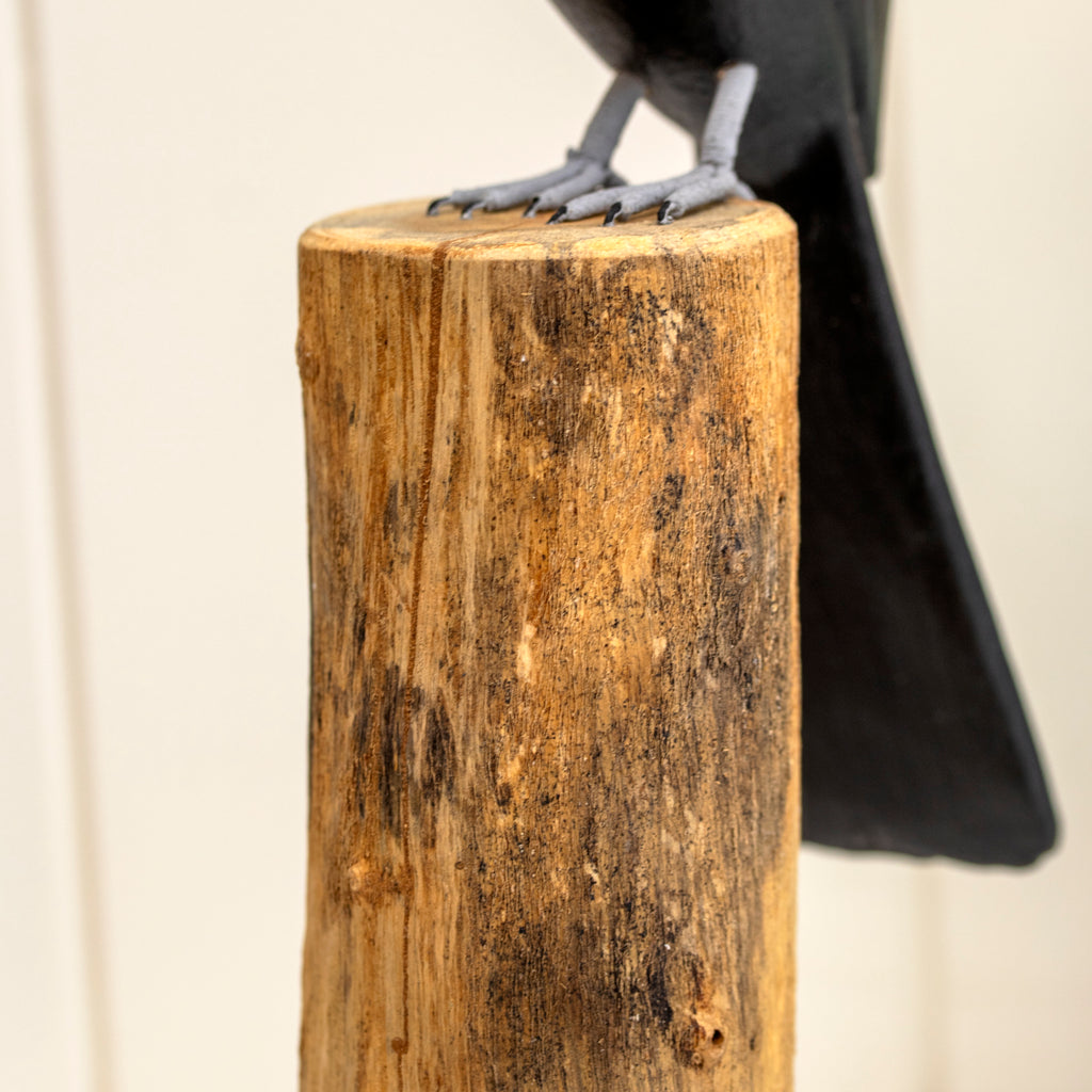Toucan On Teak Root Perch Sculpture