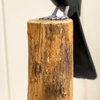 Toucan On Teak Root Perch Sculpture