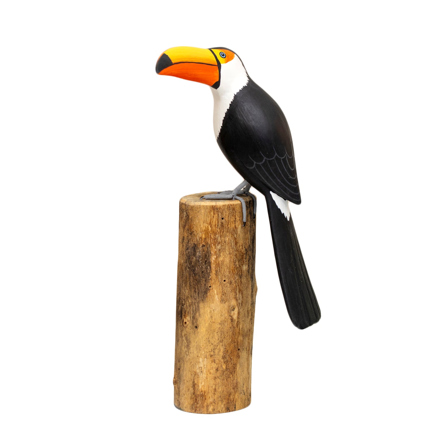 Toucan On Teak Root Perch Sculpture