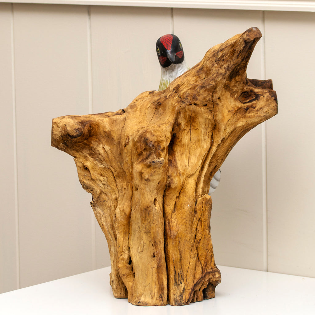 Green Woodpecker On Teak Root Tree Sculpture