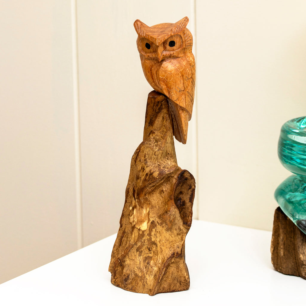 Teak Root Perched Tawny Owl Sculpture