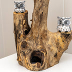 Baby Owls In Teak Root Tree Sculpture