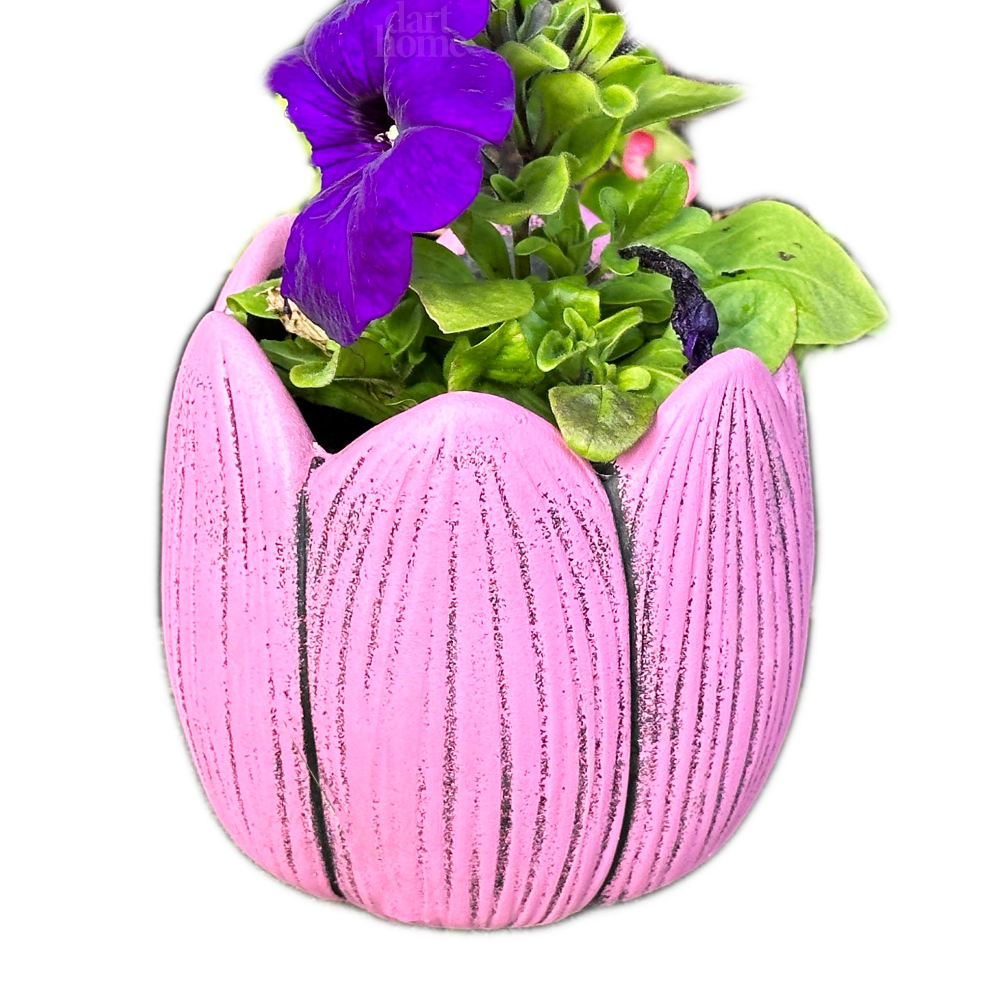 Cement Pink Tulip Plant Pot