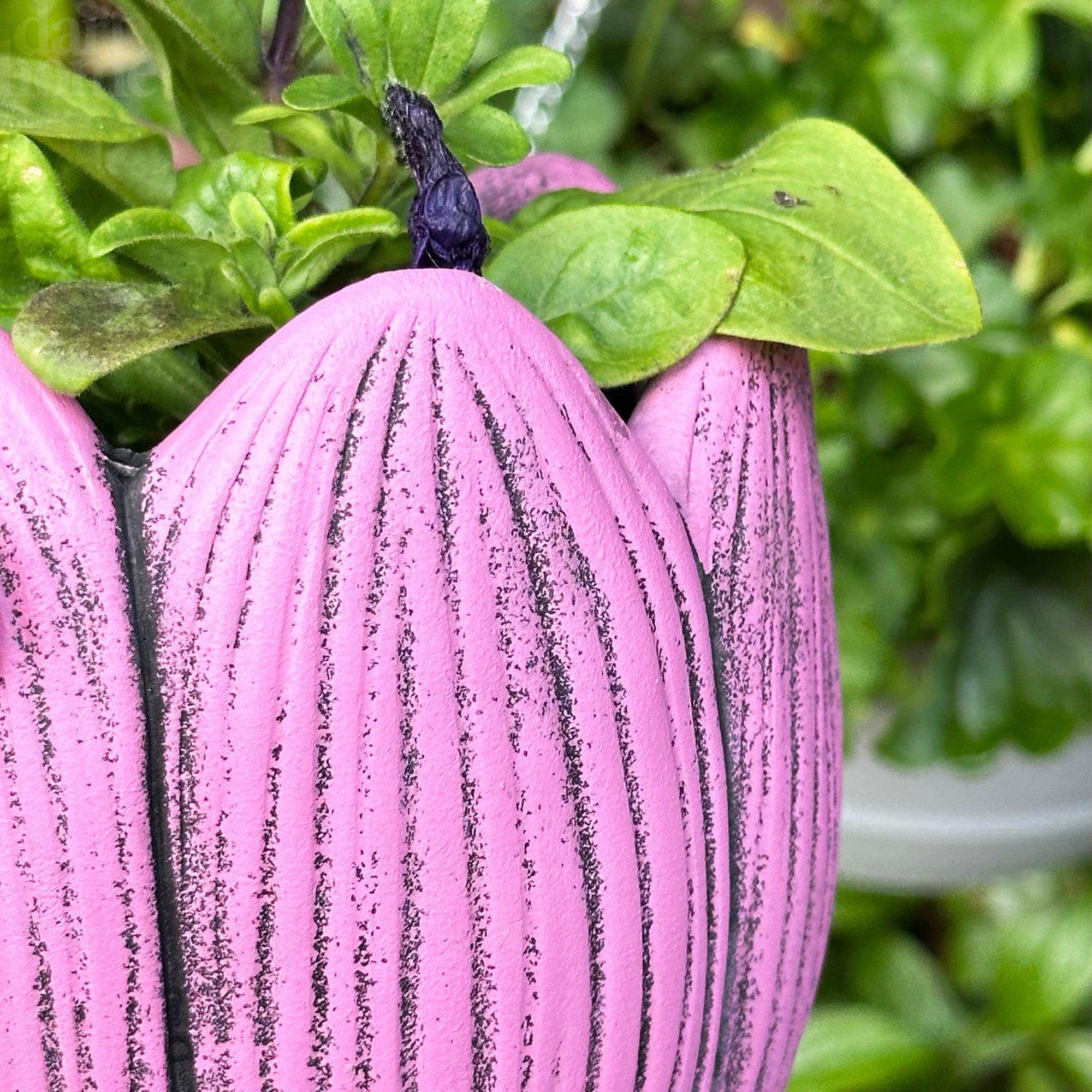 Cement Pink Tulip Plant Pot