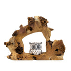 Teak Root Hideaway Baby Owl Sculpture